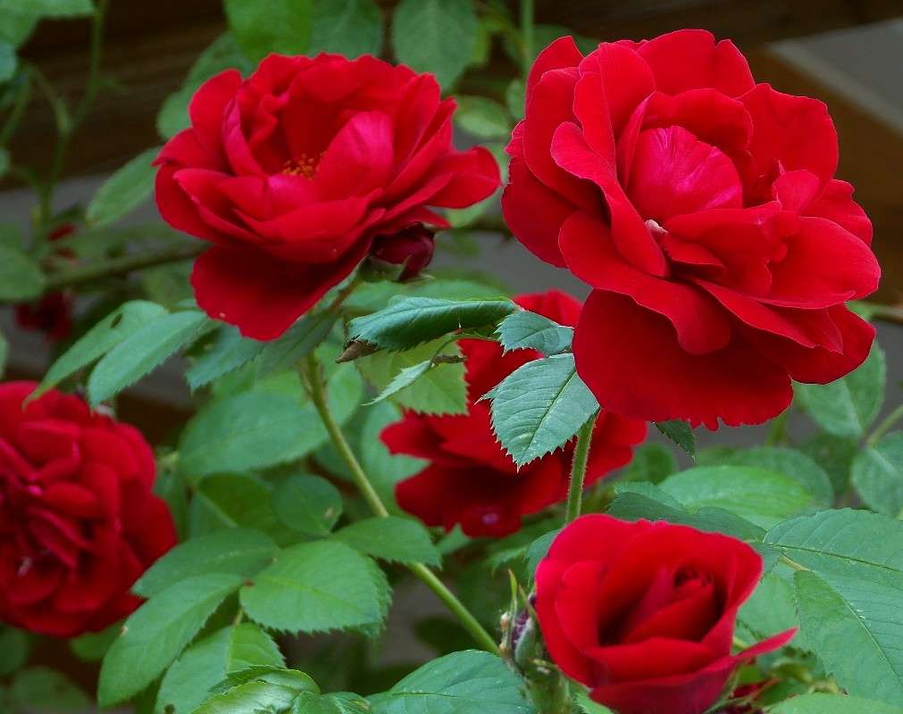 ... ����� Natali  ��������� �� PhotoGeek.ru #������ ��� ������� #����� ��������������