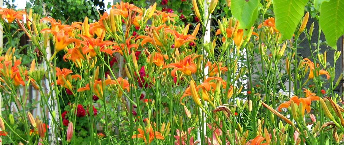 ... ����� Natali  ��������� �� PhotoGeek.ru #������ ��� ������� #����� ��������������