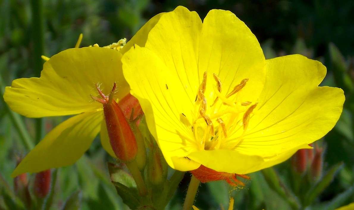 ... ����� Natali  ��������� �� PhotoGeek.ru #������ ��� ������� #����� ��������������