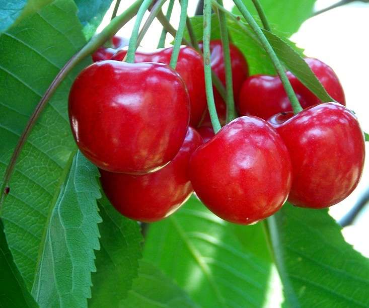 ��� ����-����, � ������ ! ����� Natali  ��������� �� PhotoGeek.ru #������ ��� �������