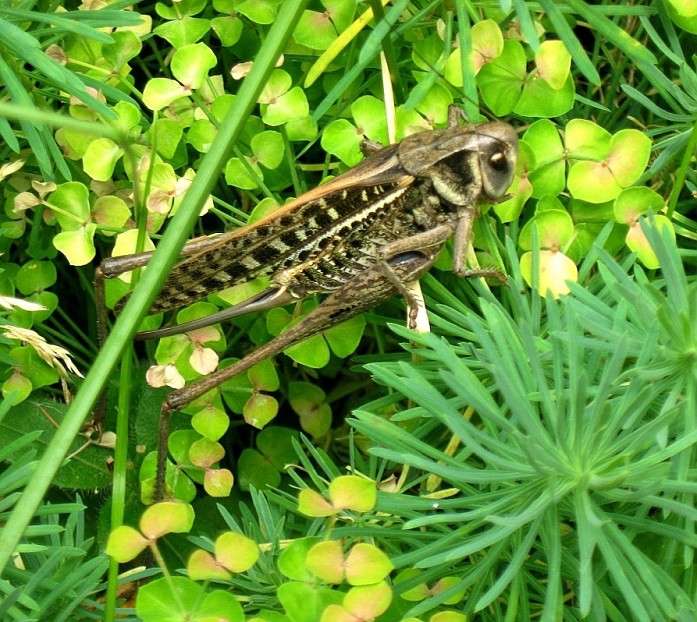 ��������...? ����� Natali  ��������� �� PhotoGeek.ru #����� #������ ��� ������� #���������