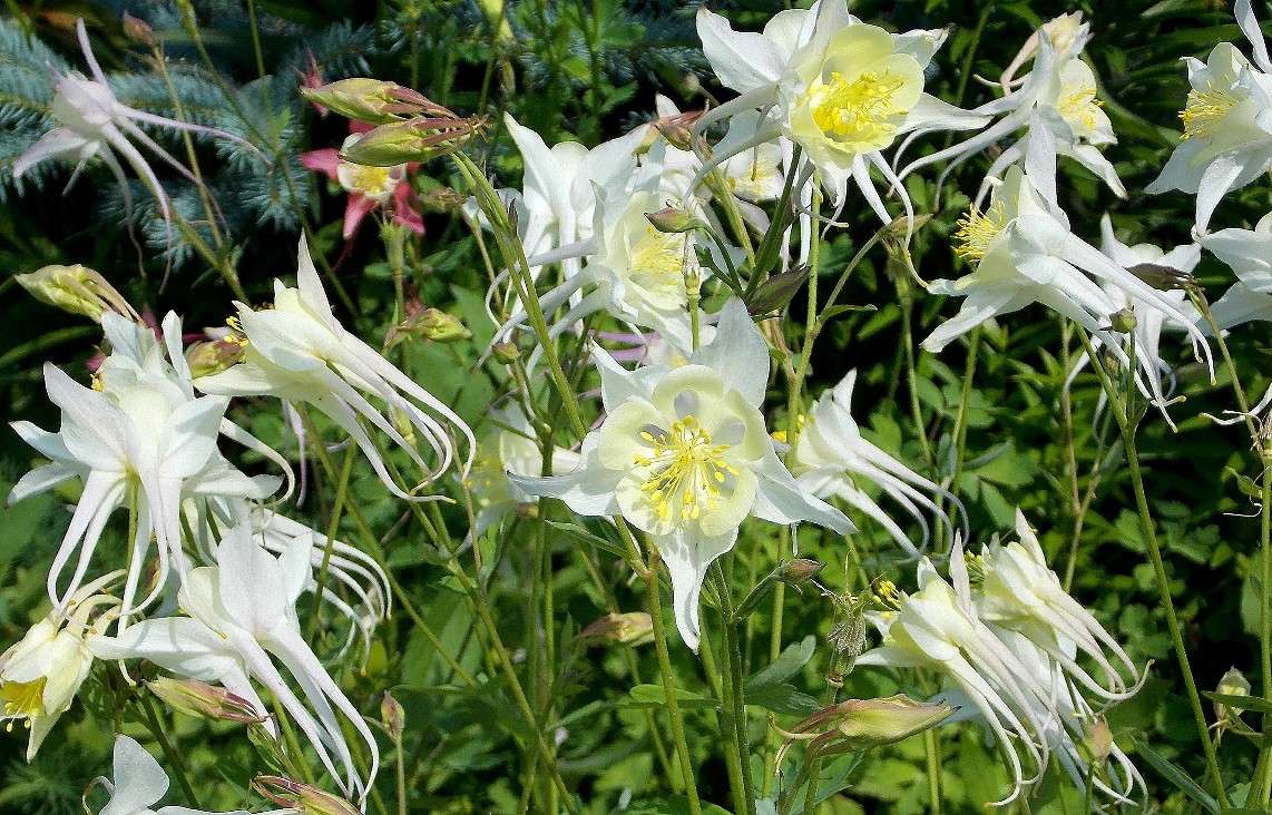 ��������� ������� ����� Natali  ��������� �� PhotoGeek.ru #������ ��� ������� #����� ��������������