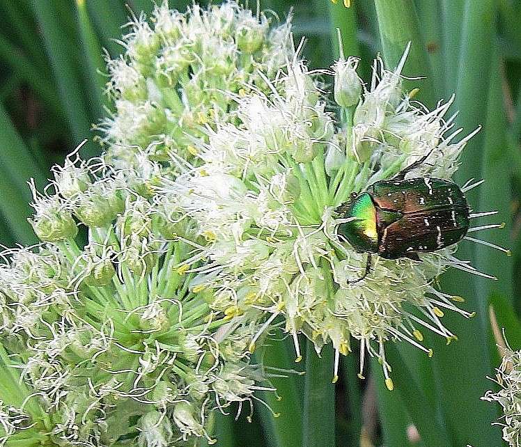 ��� ������ �� ������� ����� Natali  ��������� �� PhotoGeek.ru #����� #������ ��� ������� #���������