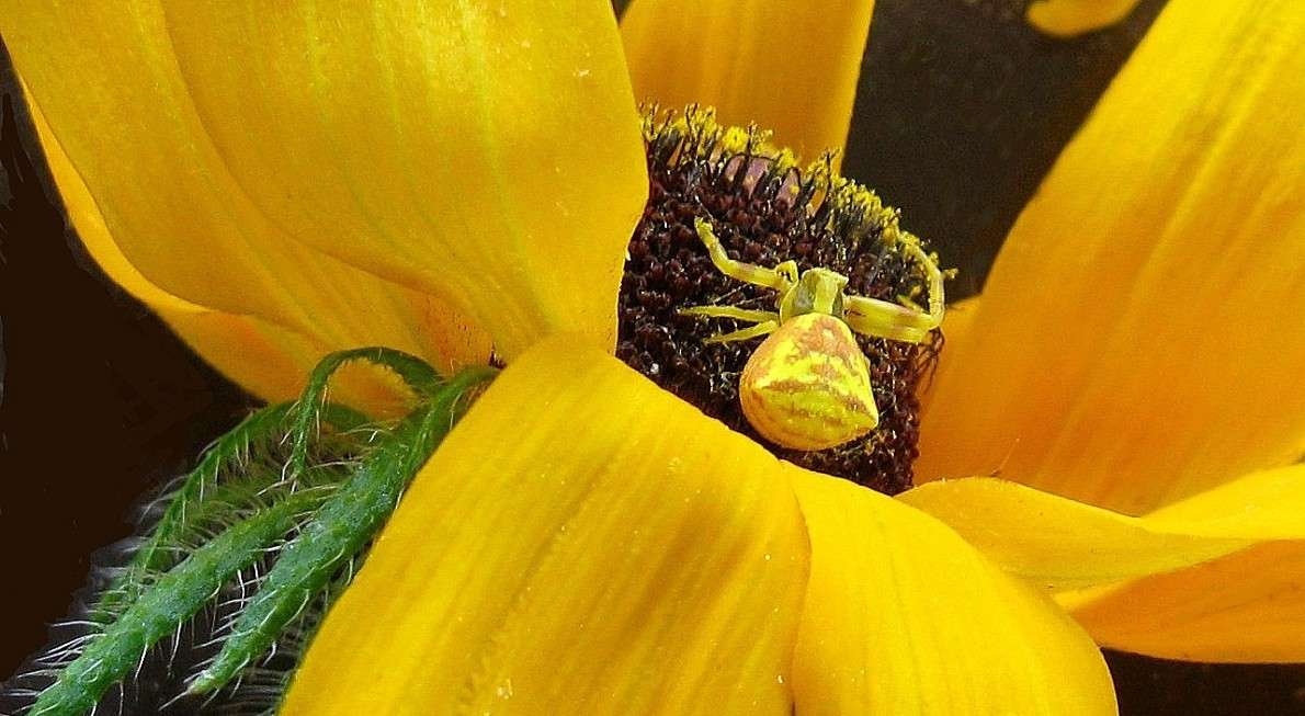 ... ����� Natali  ��������� �� PhotoGeek.ru #����� #���������