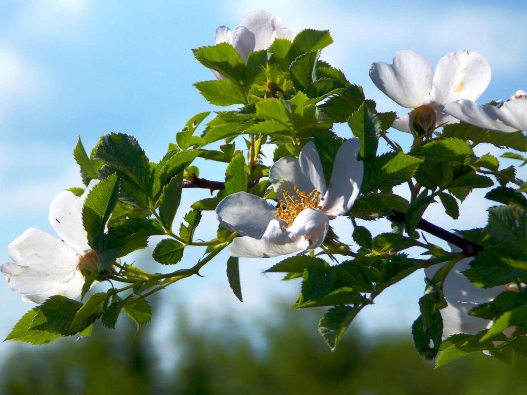 ... ����� Natali  ��������� �� PhotoGeek.ru #������ ��� ������� #����� ��������������