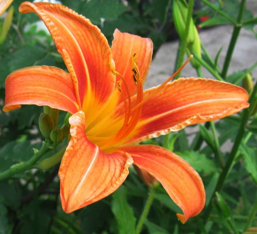 ... ����� Natali  ��������� �� PhotoGeek.ru #������ ��� ������� #����� ��������������