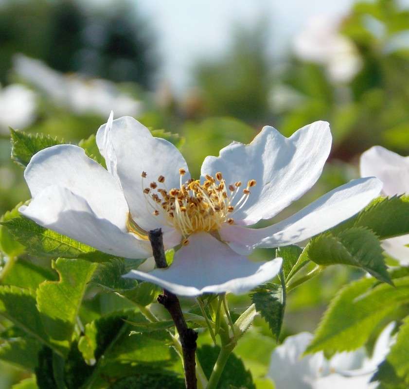 ... ����� Natali  ��������� �� PhotoGeek.ru #������ ��� ������� #����� ��������������