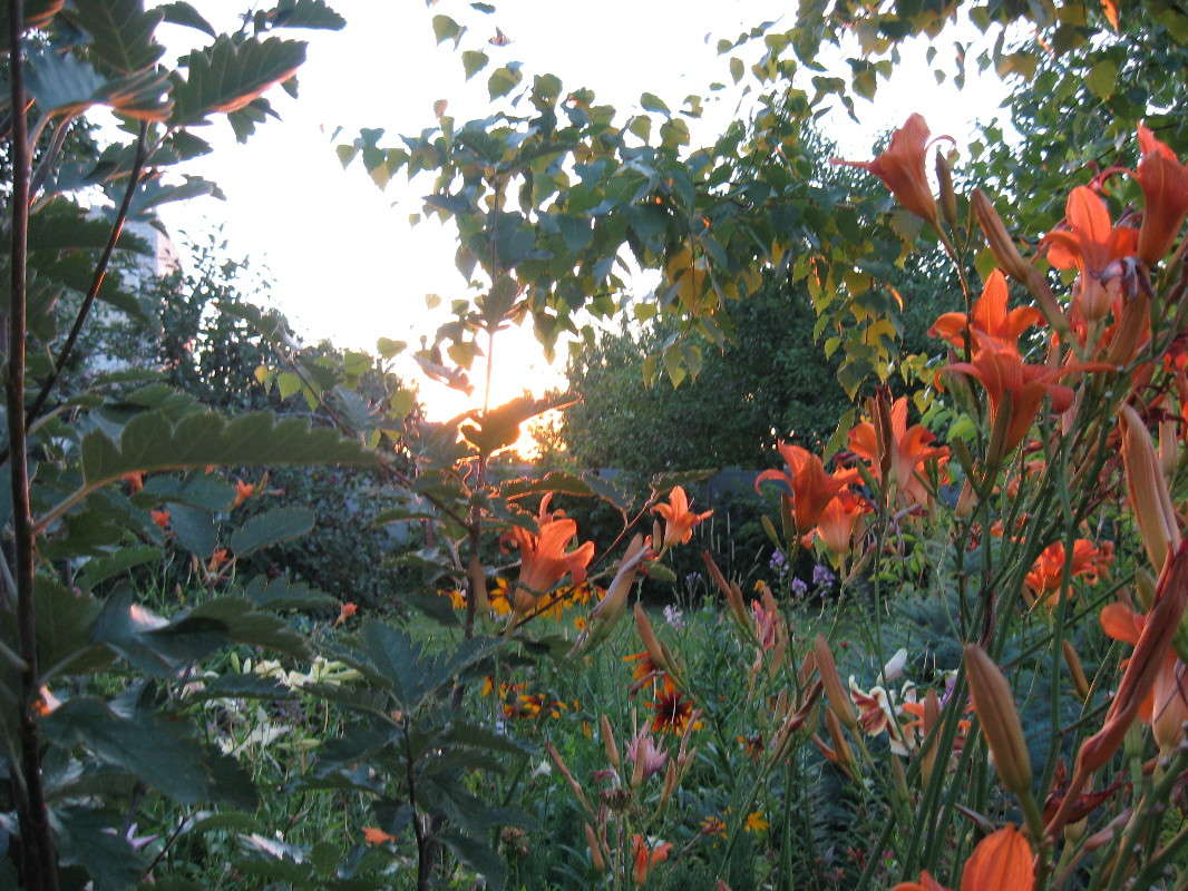 ����� ����� Natali  ��������� �� PhotoGeek.ru #������ ��� ������� #����� ��������������