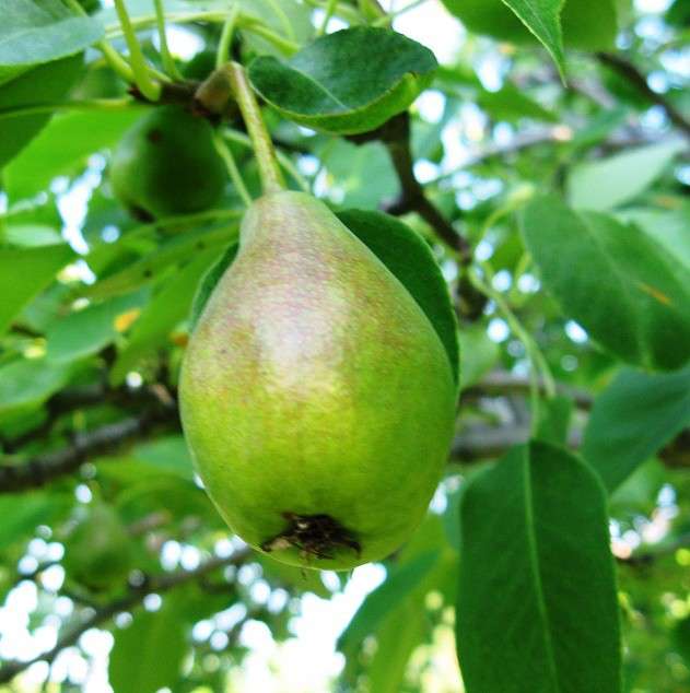 ... ����� Natali  ��������� �� PhotoGeek.ru #������ ��� ������� #����� ��������������