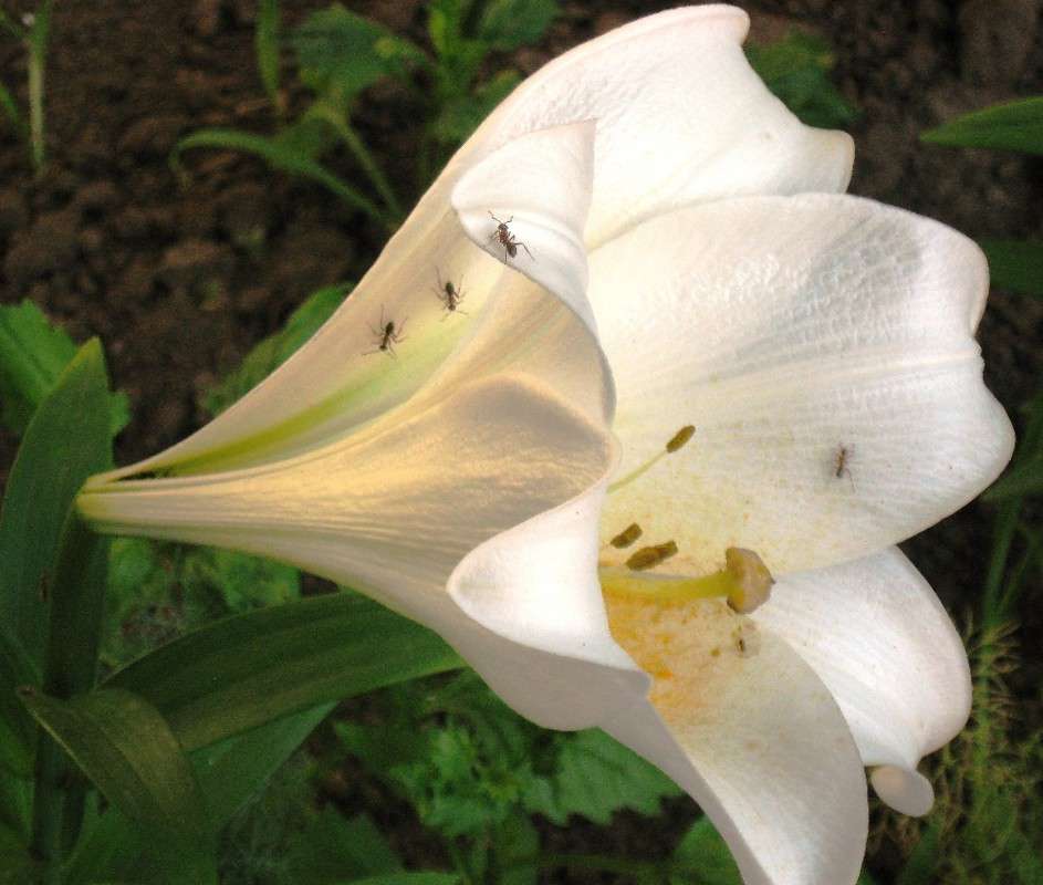 ... ����� Natali  ��������� �� PhotoGeek.ru #������ ��� ������� #����� ��������������