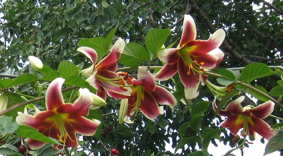 ��� ����� ������.. ����� Natali  ��������� �� PhotoGeek.ru #������ ��� ������� #����� ��������������