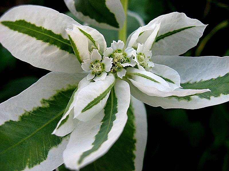 ������� ����� Natali  ��������� �� PhotoGeek.ru #������ ��� ������� #����� ��������������