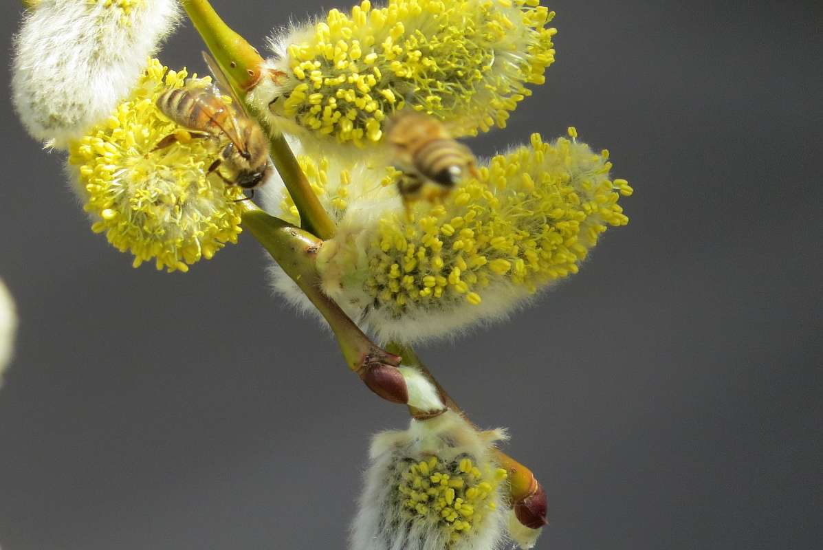 ����� ����� ����� Natali  ��������� �� PhotoGeek.ru #������ ��� �������