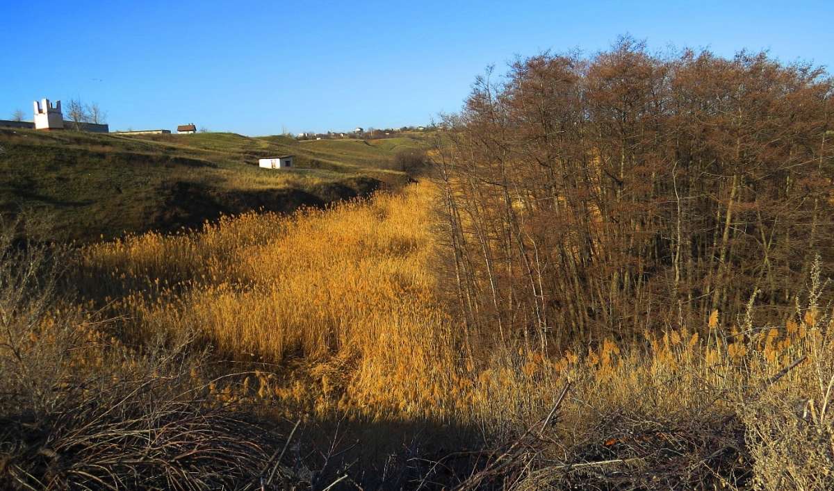 ����� ����� ������������ ...) ����� Natali  ��������� �� PhotoGeek.ru #������ ��� �������