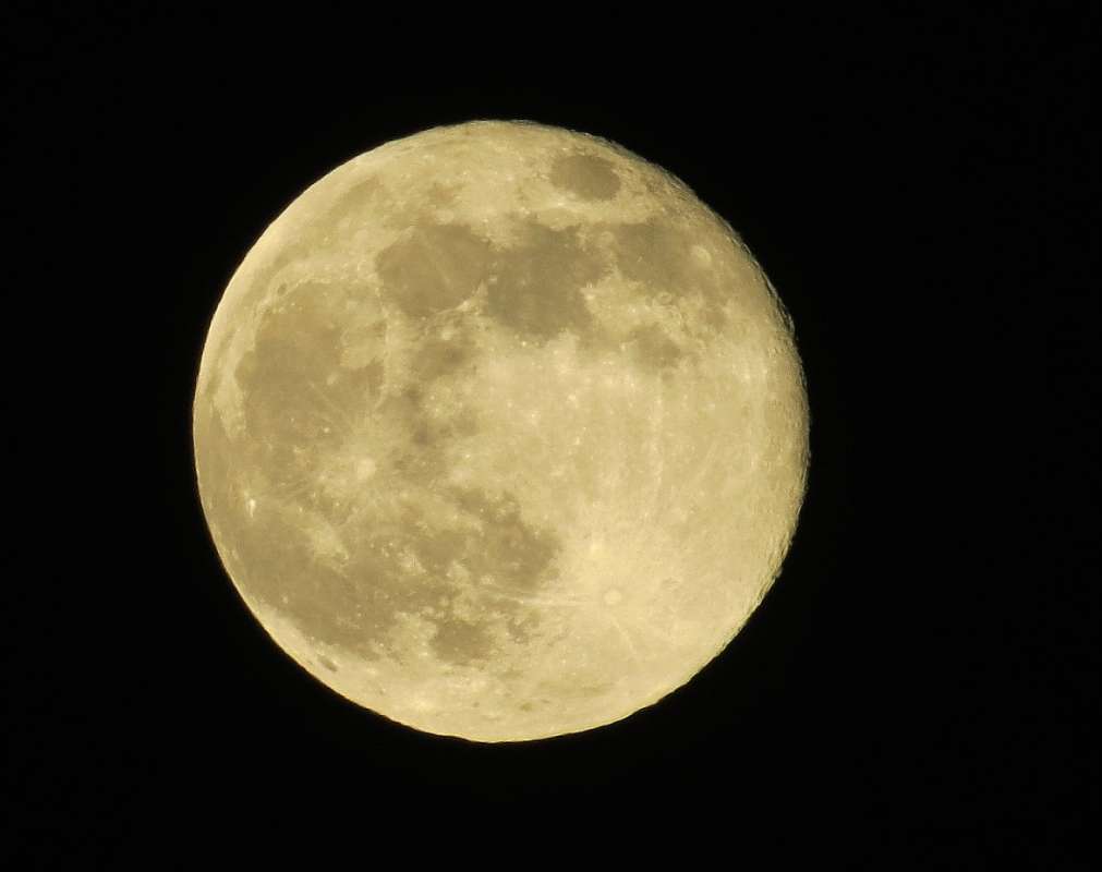 08.04.2020 (2) ����� Natali  ��������� �� PhotoGeek.ru #��������