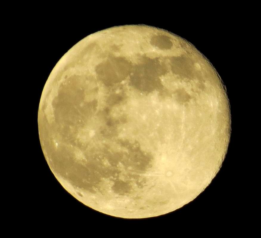 08.04.2020 ����� Natali  ��������� �� PhotoGeek.ru #��������