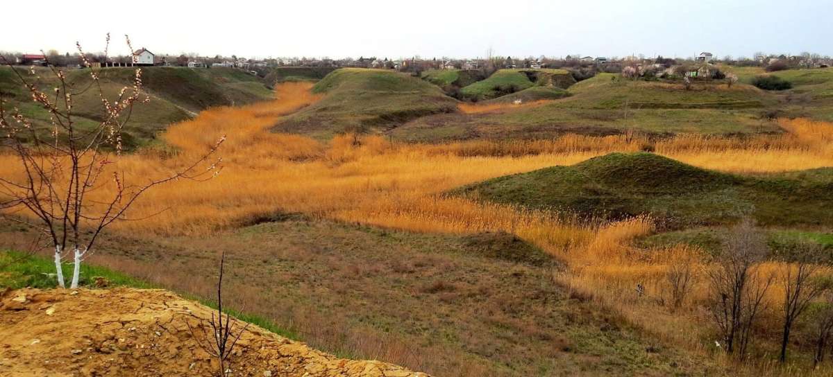 �����-������� ����� ) ����� Natali  ��������� �� PhotoGeek.ru #������ ��� �������