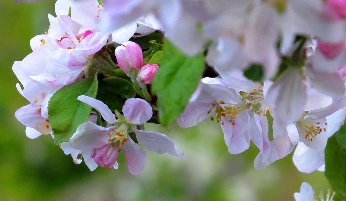 ��������� ���� ������� ����� ����� ����� Natali  ��������� �� PhotoGeek.ru #������ ��� ������� #����� ��������������