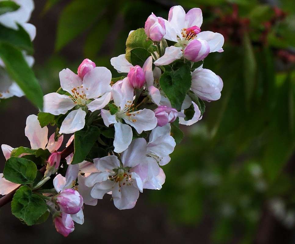 ��������� ���� 2 ����� Natali  ��������� �� PhotoGeek.ru #������ ��� ������� #����� ��������������