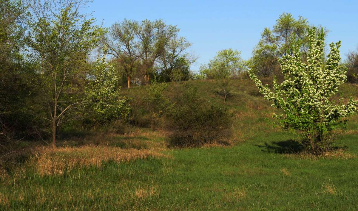 � ��������. ����� Natali  ��������� �� PhotoGeek.ru #������ ��� �������