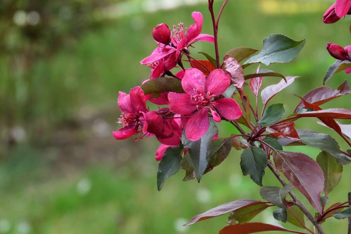 ��������� ����. ������������ ������. ����� Natali  ��������� �� PhotoGeek.ru #������ ��� ������� #����� ��������������