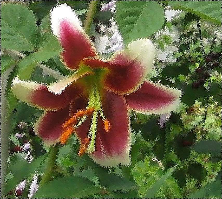 ... ����� Natali  ��������� �� PhotoGeek.ru #������ ��� ������� #����������