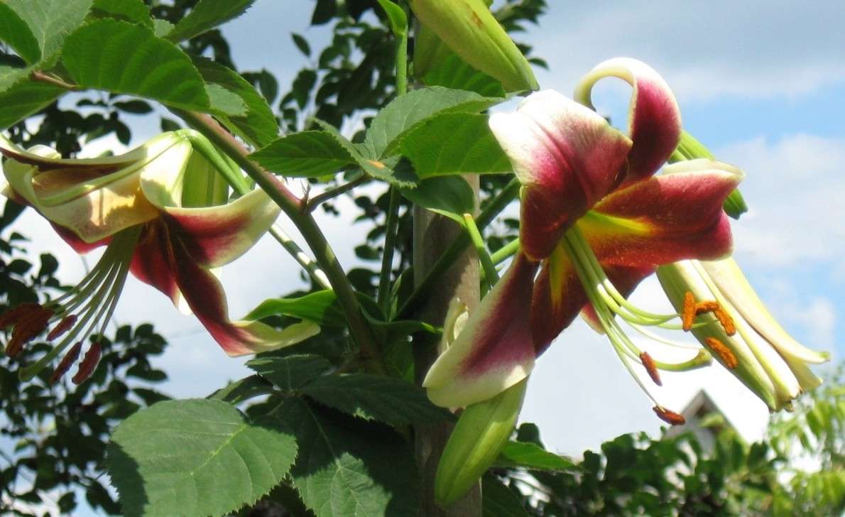 ����... ����� Natali  ��������� �� PhotoGeek.ru #������ ��� �������