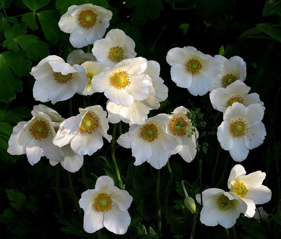 ... ����� Natali  ��������� �� PhotoGeek.ru #������ ��� ������� #����� ��������������