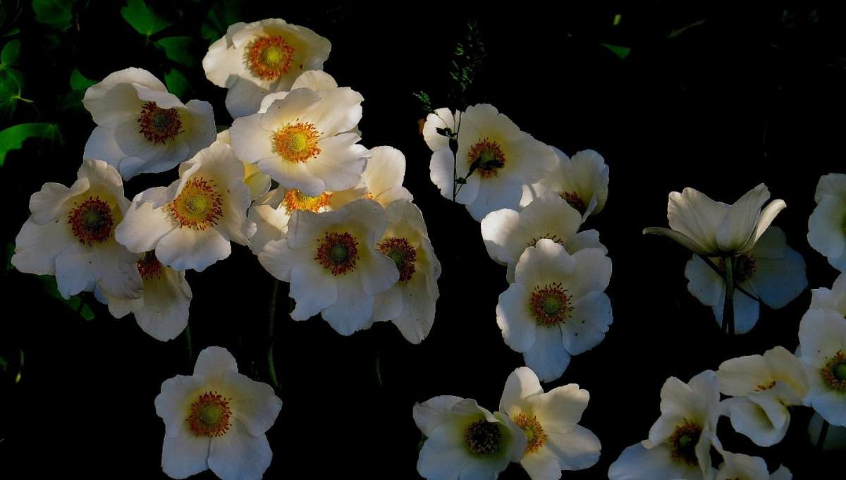 ... ����� Natali  ��������� �� PhotoGeek.ru #������ ��� ������� #����� ��������������