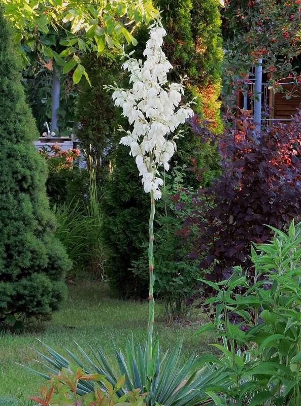 ���� ����� Natali  ��������� �� PhotoGeek.ru #������ ��� ������� #����� ��������������