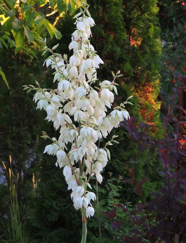 ���� 2 ����� Natali  ��������� �� PhotoGeek.ru #������ ��� ������� #����� ��������������