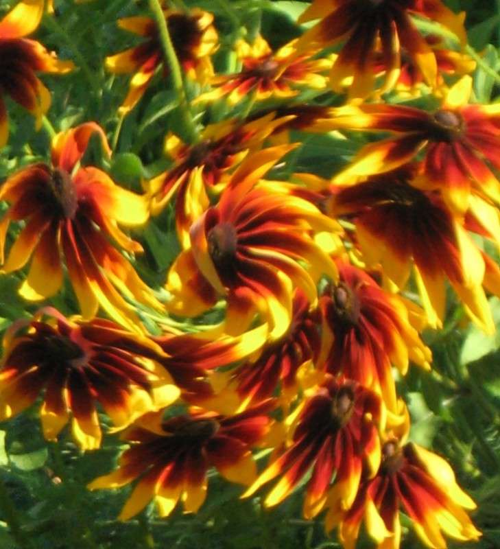 �������� ����� Natali  ��������� �� PhotoGeek.ru #������ ��� ������� #����� ��������������