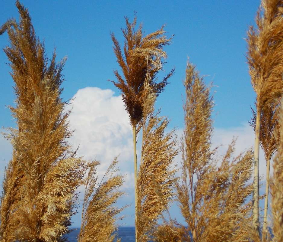 ��������� ���-��������� ����� Natali  ��������� �� PhotoGeek.ru #������ ��� �������