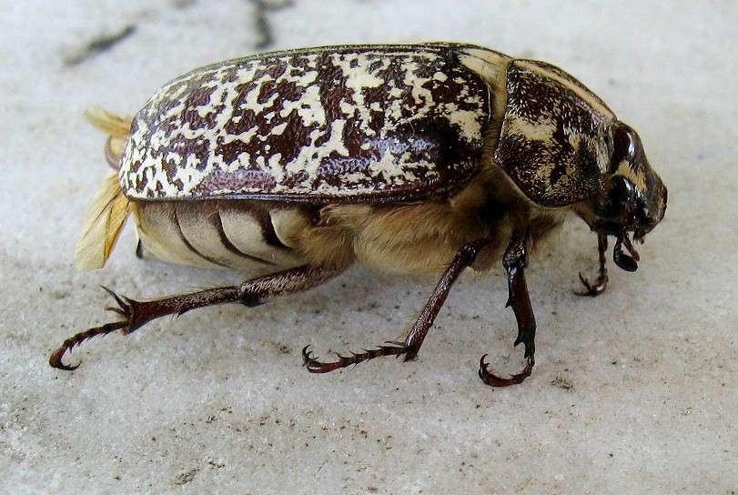 ... ����� Natali  ��������� �� PhotoGeek.ru #�����