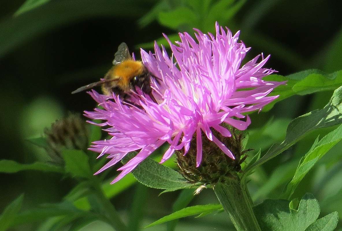 ... ����� Natali  ��������� �� PhotoGeek.ru #������ ��� �������