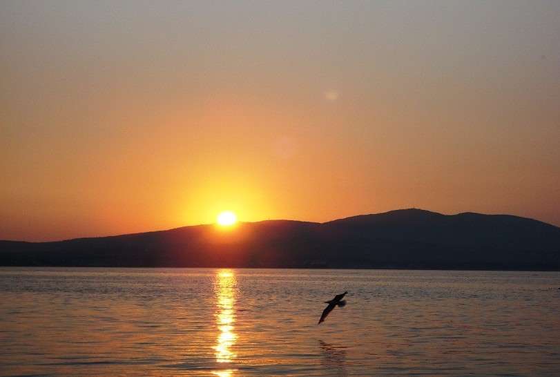 ... ����� Natali  ��������� �� PhotoGeek.ru #������ ��� �������