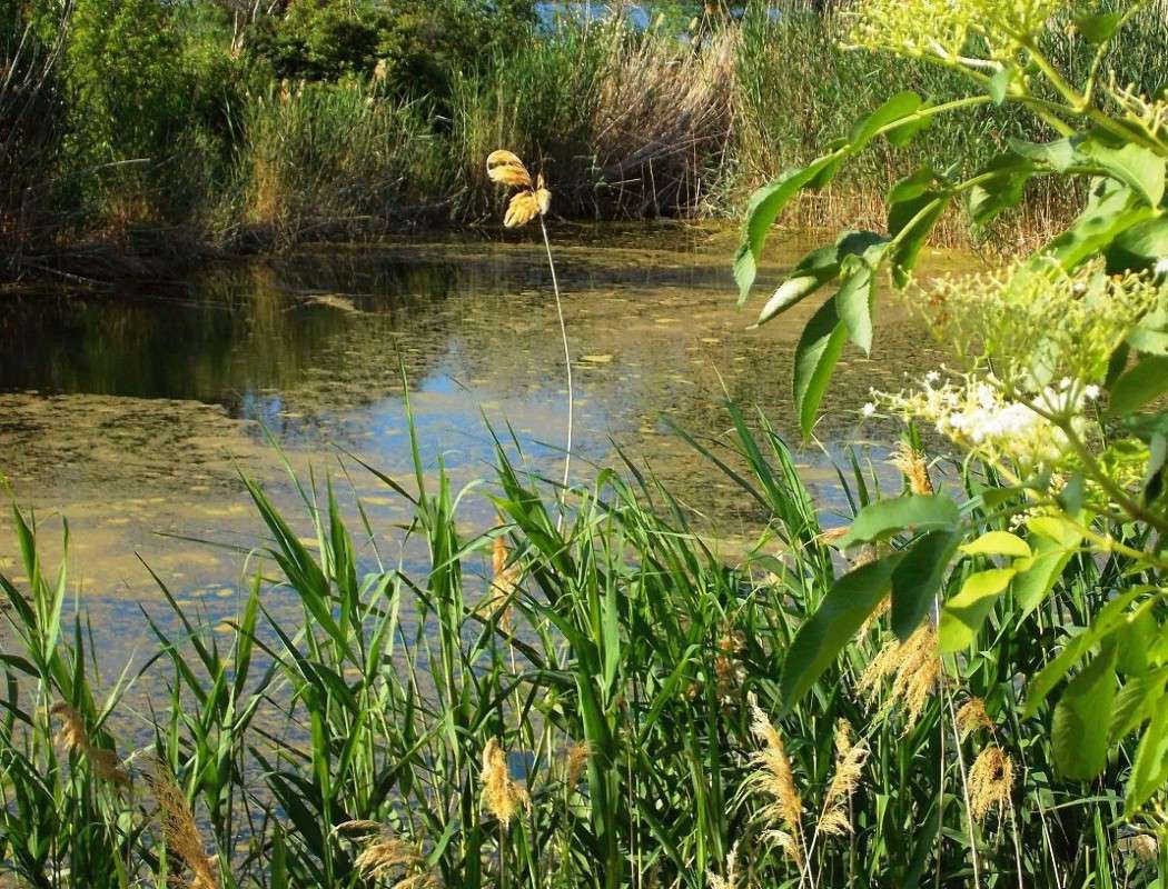 ��������� ����� ������. ����� Natali  ��������� �� PhotoGeek.ru #������ ��� �������