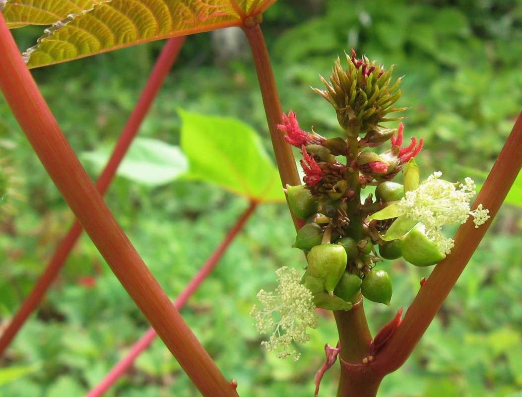 ������� ����� Natali  ��������� �� PhotoGeek.ru #����� #������ ��� ������� #����� ��������������