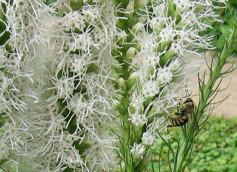 ��� �� �� ���������� ! ����� Natali  ��������� �� PhotoGeek.ru #�����