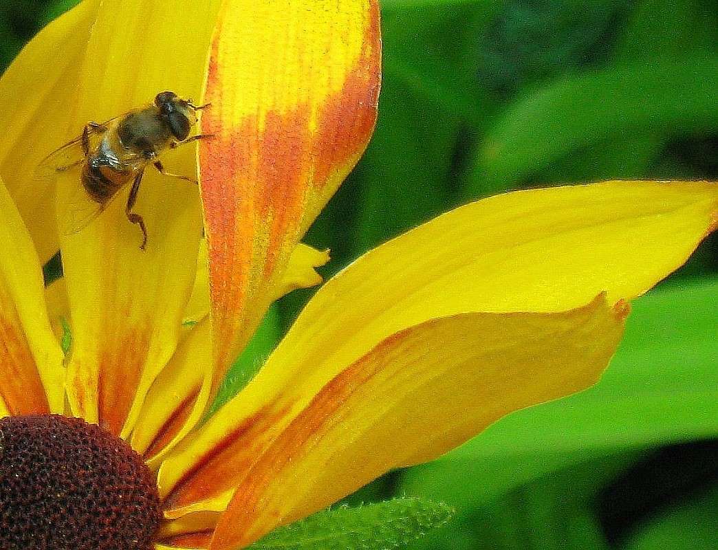 ... ����� Natali  ��������� �� PhotoGeek.ru #�����