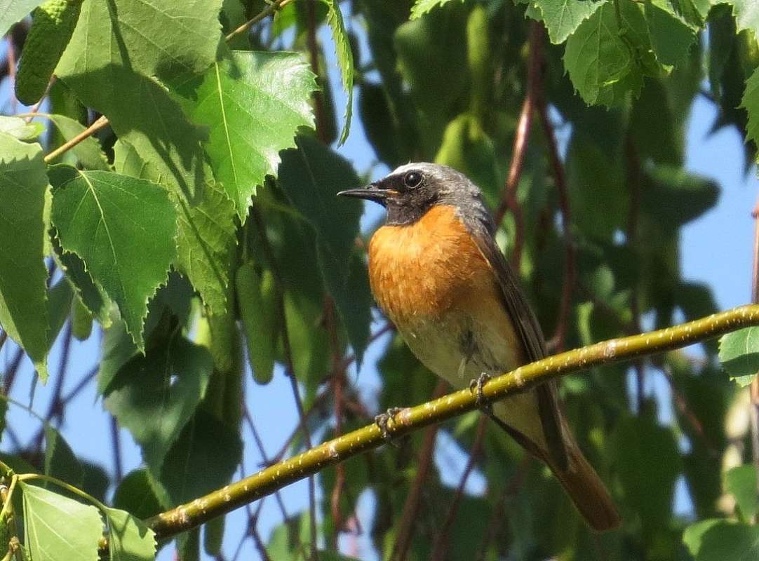 ����������� �� ����� ����� Natali  ��������� �� PhotoGeek.ru #�������� ��� #����� ��� ��� ���������