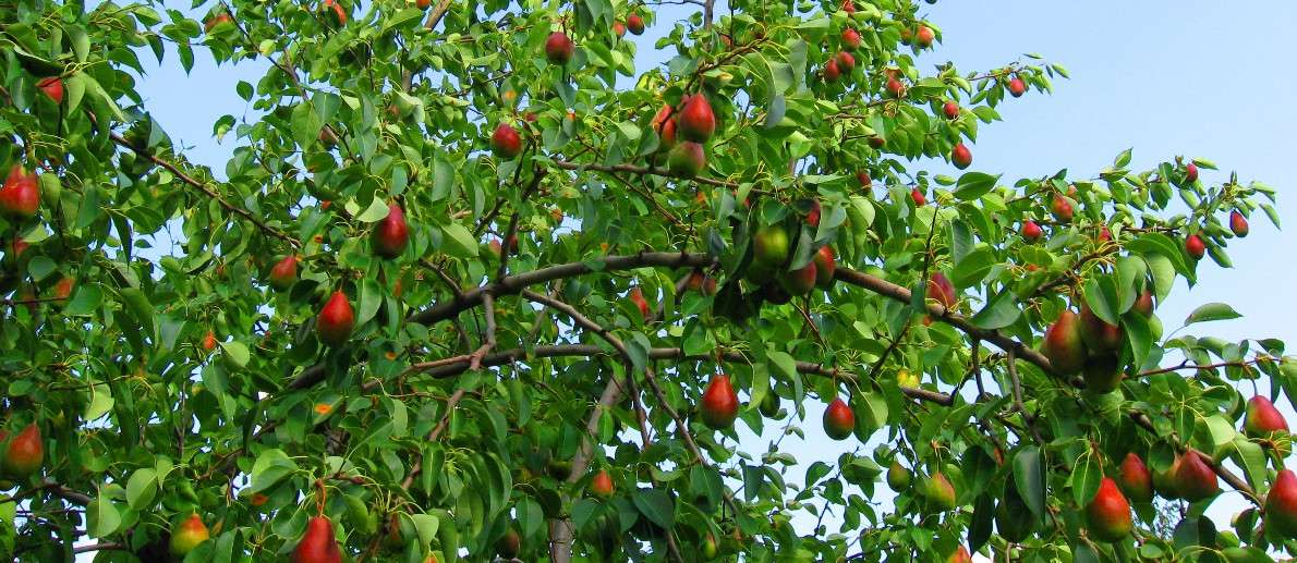 �����. ����� Natali  ��������� �� PhotoGeek.ru #������ ��� ������� #����� ��������������