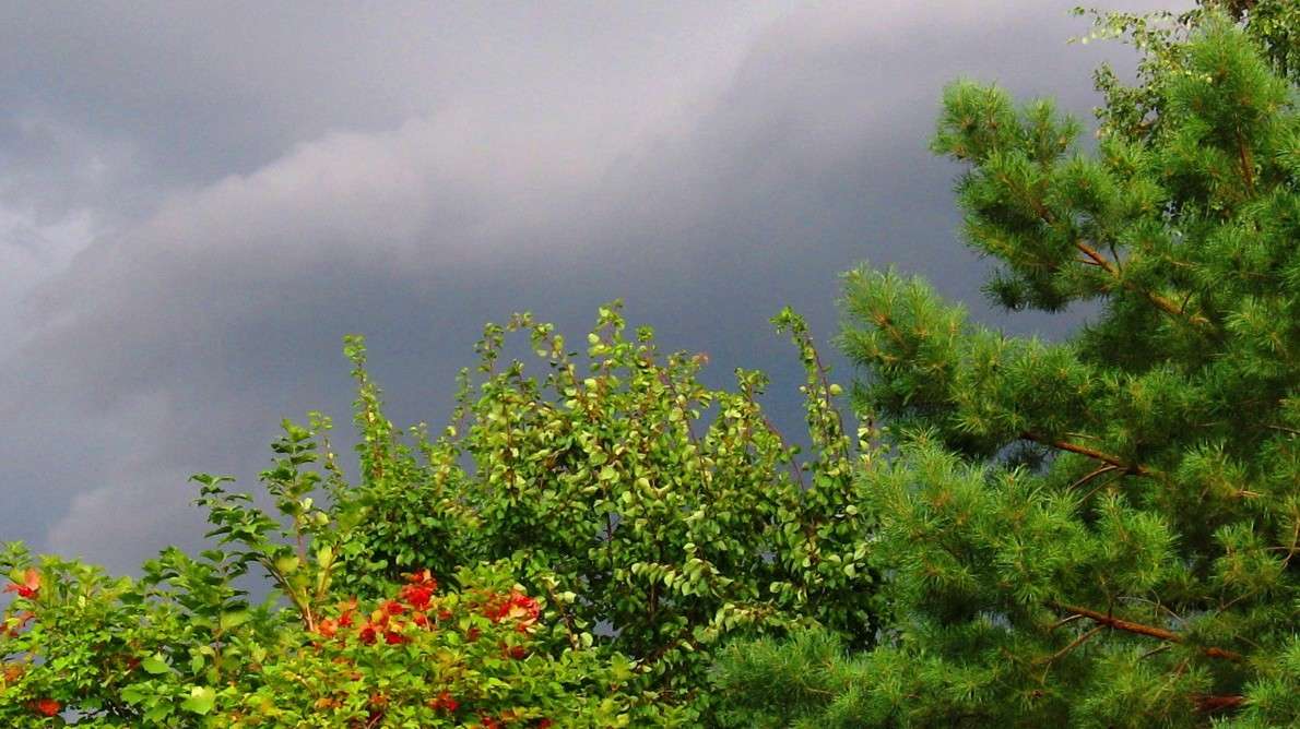 ������ ����. ����� Natali  ��������� �� PhotoGeek.ru #������ ��� ������� #����� ��������������