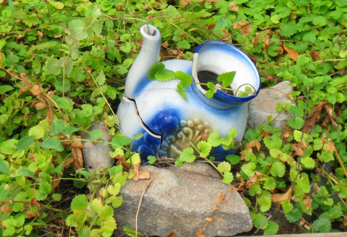 ������ ���������. ����� Natali  ��������� �� PhotoGeek.ru #������ ��� ������� #����� ��������