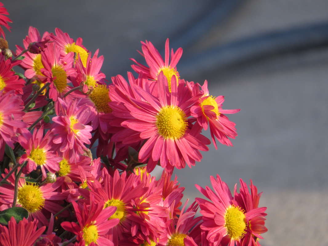 ������ ����� Natali  ��������� �� PhotoGeek.ru #������ ��� �������