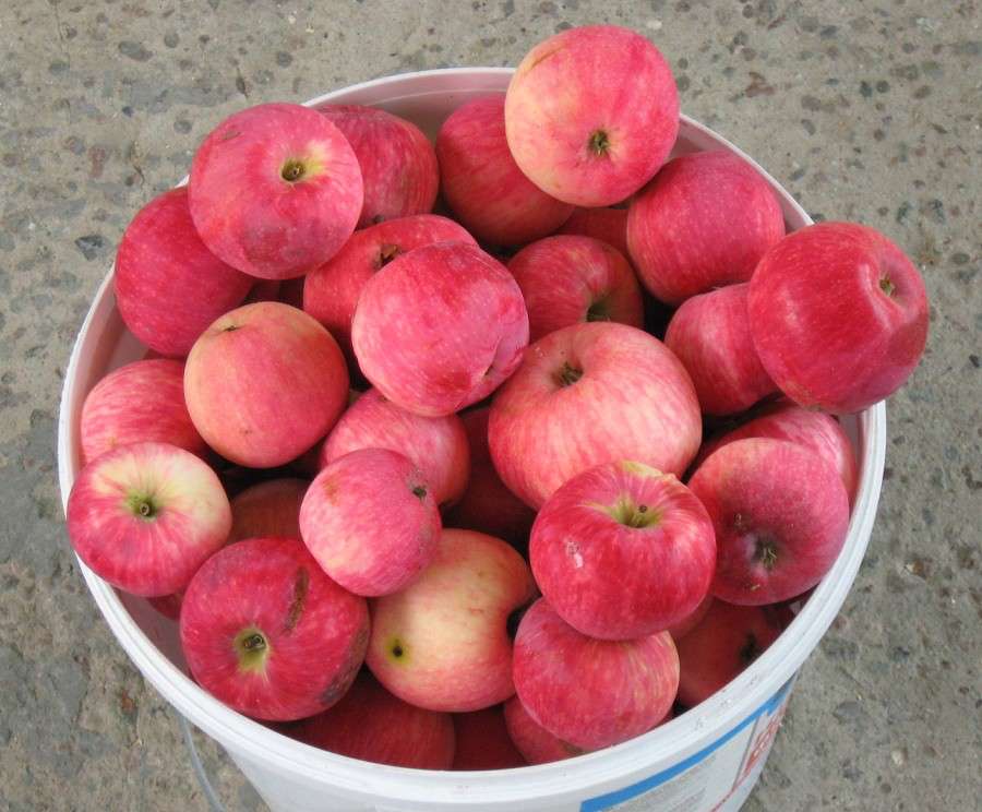 �����, �������� ! ))) ����� Natali  ��������� �� PhotoGeek.ru #�������� ���������� #���������������