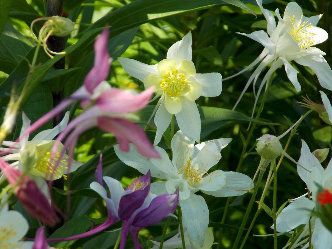 ... ����� Natali  ��������� �� PhotoGeek.ru #������ ��� ������� #����� ��������������