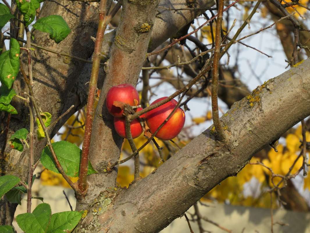 ���������� ... ) ����� Natali  ��������� �� PhotoGeek.ru #������ ��� �������