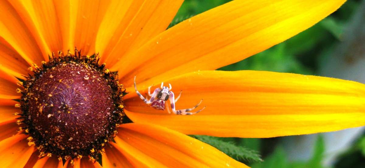 ����� ��� � ����... ����� Natali  ��������� �� PhotoGeek.ru #�����