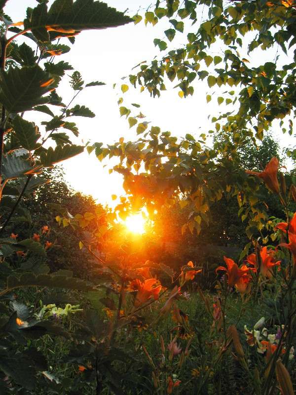 ������ ����. �����. ����� Natali  ��������� �� PhotoGeek.ru #������ ��� ������� #����� ��������������